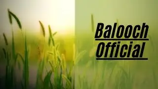 Balooch Official Video ###balooch Official Video ###balooch Official Video ##balooch Official Video
