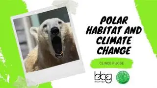 'Wildlife and Climate Change': Polar Habitat EP2 By Clince P Jose