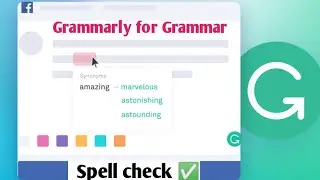 How to Check Grammar on Grammarly || Grammarly Tutorial || Spell Check