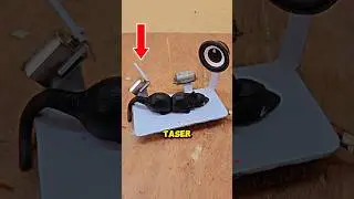 Brutal Modern Mouse Trap 😳