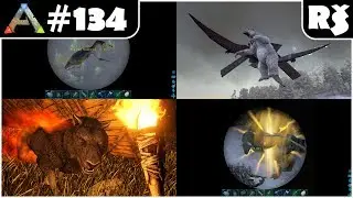 ARK: Survival Evolved #134 - Novinky v aktualizaci v258