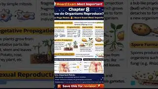 &ldquo;Class 10 Science | Chapter 8 One Page Notes 🔥 Save for boards&rdquo;#boardexam2026 #class10science #cbse