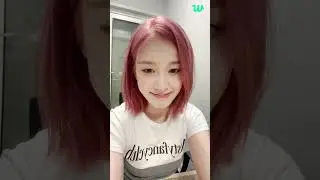 월요정 사진이 없어서 라이브로 왔엉🐶❤️ | STAYC Weverse LIVE [SUB] 240610