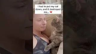 I tried to save him 🥺❤️ #pets #pet #petloss #catloss #cat #cats #catlover #catlovers #grief