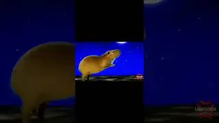 Cute capybara flying to the universe meme