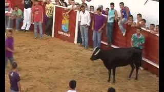 Feria de Agosto 09 Suelta de Vaquillas