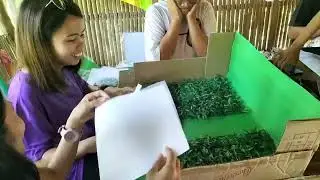 Semifinals Project | Nature Table | Non-Digital Instructional Materials | TTL 1 | BEED II-B