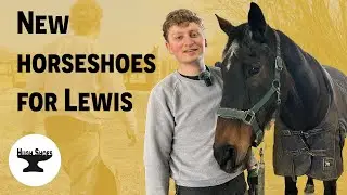 New horseshoes for Lewis #farrier #horse #farrierlife #asmr #equestrianjourney