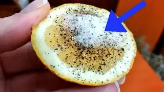 Salt, Pepper and Lemon Can Solve These 9 Problems Better Than Any Medicine - Health tips and tricks
