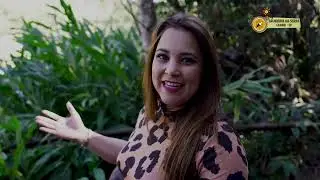 Assista os melhores destinos para passeio na região de Ribeirão Preto