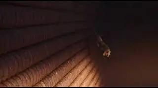 Lion Plummets Off Cliff! 🦁📉 #shorts #youtubeshorts