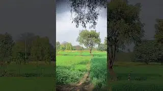 #nature #desiviilagelifetstyle #song #likeandsubscribe #like #subscribe #support #desi #nature