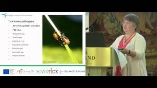 Prof &Aring;shild Andreassen from Scandtick presenting at NorVect 2014