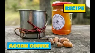 How to Make Acorn Coffee - Easy Outdoors Drinks