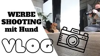VLOG Werbe-Shooting mit Hund