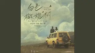 橄榄树下的愿望 (电视剧《白色橄榄树》心愿主题曲)