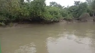Crocodile videos#big crocodiles video#bhitarakanika views#national parks of India#