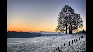 A quiet life piano playlist | Late autumn meets early winter | Safe Space