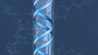 The Chemical Building Blocks of Life part1
