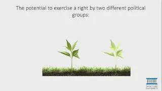 Experimental Panel: Behavioral Effects on Decision Making involving Rights Limitations