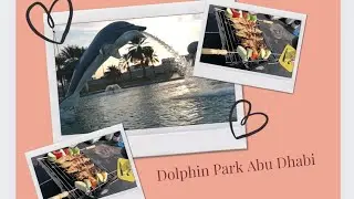Dolphin Park Abu Dhabi