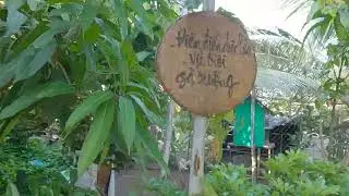 S&acirc;n Vườn Hotel Ozon 5 Căn C&agrave; Mau