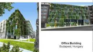 green walls2