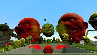 NEW LIN GANG MELON Family and MULTICOLORED LIN GANG MELON Chasing Me in GARRY'S Mod!