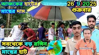 রঙিন🐠 মাছ Aquarium Fish market ln Khulna Khalishpur Noyabati #marufbillarubel #fish #aquarium #betta