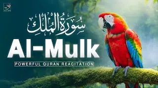 Surah Al-Mulk (سورة الملك) | Beautiful Quran Recitation for Divine Protection #almulk
