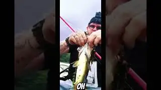 Blessed #FathersDay2025 #bassfishing #indianafishing #Indiana #fishtok #indianaboy #fishing