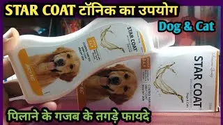 STAR COAT/Skin and Coat tonic for Dogs & Cats||Control Hair fall,Shiny Coat Healthy Skin