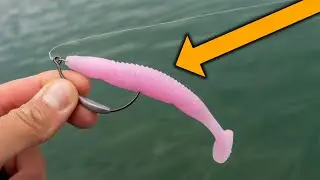 What Will I Catch On This Pink Swimbait?