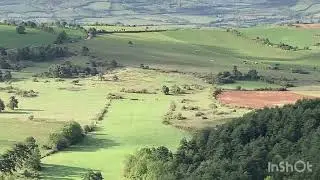 Chasse du lièvre au bâton du 28/09/22