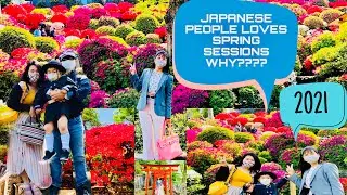 WHY JAPANESE PEOPLE LOVES SPRING SEASON???|AZALEA FLOWERS つつじの花が咲いていました２０２１