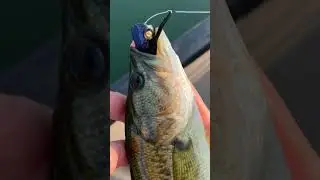 Pond Hopping&hellip;not just for baitcasters