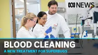 Experimental blood cleaning paves the way to fight superbugs | ABC News