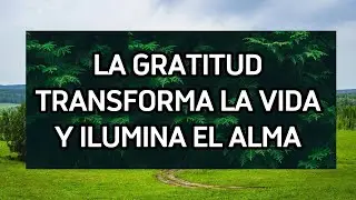 La Gratitud Transforma La Vida Y Ilumina El Alma | Filosofía y Paz
