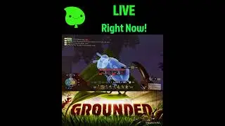 Streaming Grounded LIVE Right Now!