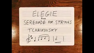 Walton Chamber Orchestra: Elegie from Tchaikovsky Serenade for Strings