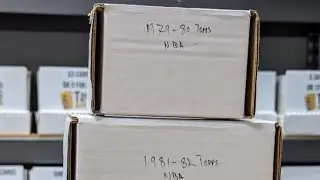 Skunk Protection for the 1980-81 Topps Basketball Break