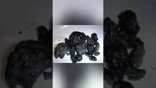 How Long Does It Take for Manganese Nodules to Form?