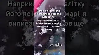 Не даю комарам шансу #greenylka #люблючоловіка #пюкров #взимку