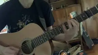 Insane Tony Rice Sally Goodin break from Unit Of Measure