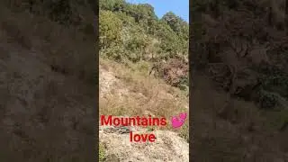 Nature lover#mountains #party#shorts#friends#nature#oldisgold