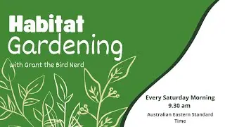 Habitat Gardening - Gardening Q and A