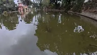 There was only one fish left