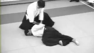 Daito ryu Aikijujutsu exhibicion conmemorativa