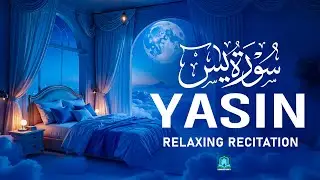 Quran for Ultimate Sleep | Quran for Evil Protection | Surah Yasin سورۃ یٰس | Glorious Recitation TV
