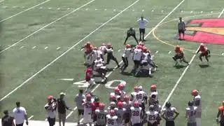 Jestin Kelly #28 NFL Springleague Highlights 2019